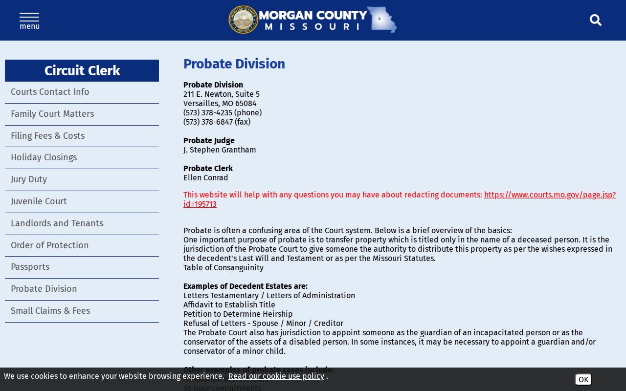 Morgan County civil dockets reference to official probate division public and confidential records